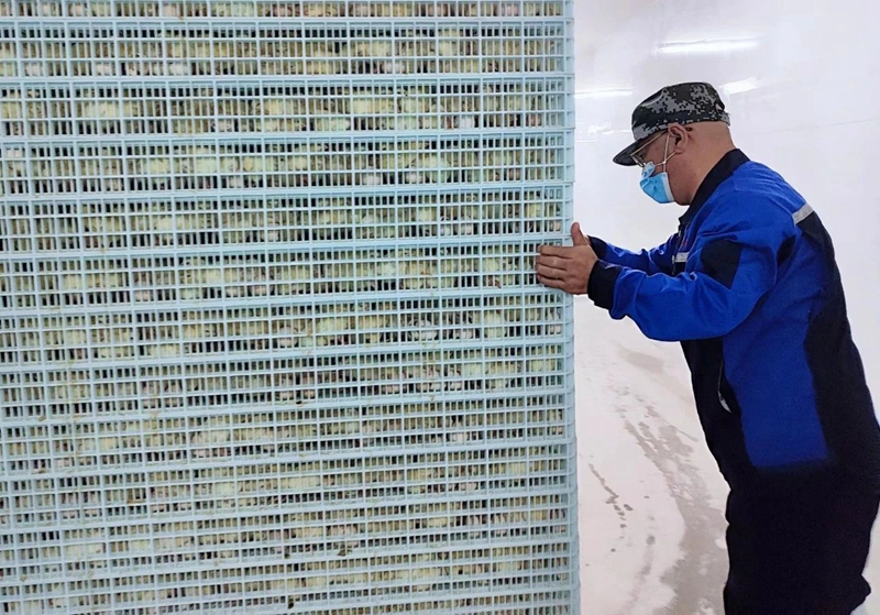 奮輯揚(yáng)帆 賡續(xù)前行-鳴環(huán)科技二期孵化項(xiàng)目首批金雛面世